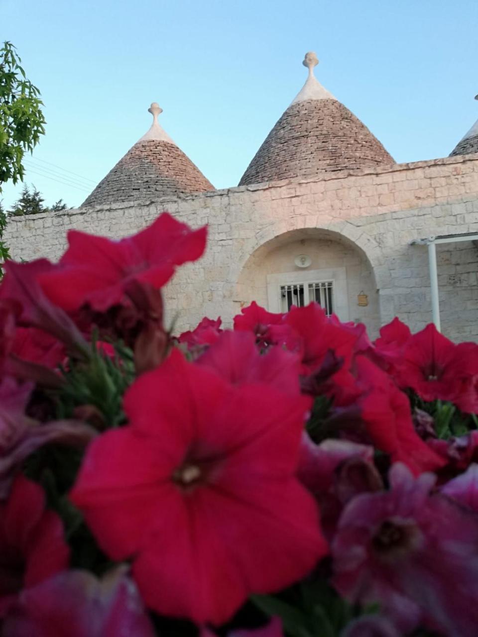 Antiche Dimore Terrarossa Alberobello Buitenkant foto